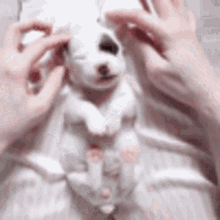 Puppy Barkly GIF - Puppy Barkly Tickle GIFs