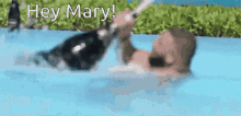Happy Birthday Mary GIF - Happy Birthday Mary Beer GIFs