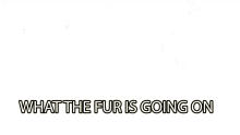 fur no