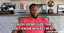 Because Of My Size They Dont Know Where Im At GIF - Because Of My Size They Dont Know Where Im At Kevin Hart GIFs