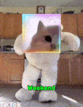a teddy bear with a picture of a dog on it and the words weekend on it