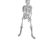 a skeleton is sitting on a white background and looking at the camera .
