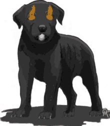 dog black hound fire eyes