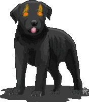 Dog Black Sticker - Dog Black Hound Stickers
