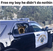 a police car with a dog in the driver 's seat