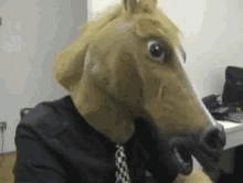 Horse What GIF - Horse What Shocked GIFs