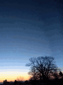 a sunset with trees in the foreground and a blue sky in the background