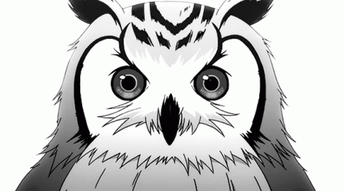 Details 148+ is anime owl legal latest - in.eteachers