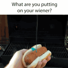 What Are You Putting On Your Wiener What Is On Your Wiener GIF - What Are You Putting On Your Wiener What Is On Your Wiener What Do You Put On Your Wiener GIFs