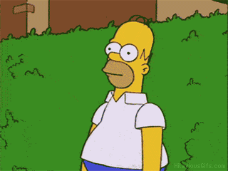 Homer