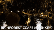 Rainforest Rainforest Cafe GIF - Rainforest Rainforest Cafe Orlando GIFs