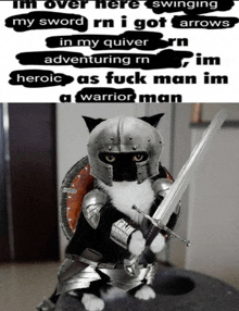 a cat in armor with a sword and shield