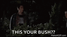 Harold And GIF