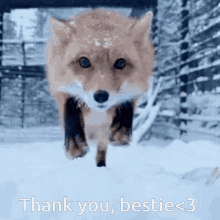 Fox Thank You GIF