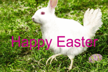 Easter Pet Easterbunny Bynny Easteregg GIF - Easter Pet Easterbunny Bynny Easteregg GIFs