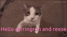 Carrington GIF - Carrington GIFs