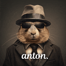 Anton GIF - Anton GIFs