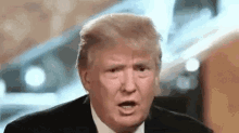 Donald Trump President GIF - Donald Trump President What GIFs