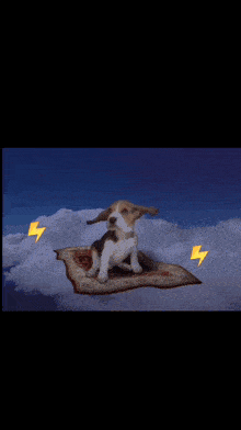 a puppy is sitting on a flying carpet in the sky