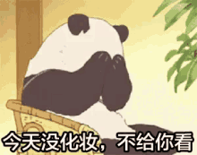 化妆 害羞 熊猫 可爱 GIF - Panda Makeup Cute GIFs