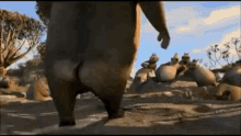 hippo butt walking