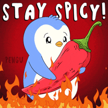 a penguin is holding a red pepper with the words " stay spicy " written above it