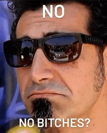 a man with a beard and sunglasses is making a funny face and says `` no bitches '' .