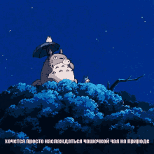 тоторо миядзаки гибли аниме чай ночь природа GIF - Totoro Ghibli Anime GIFs
