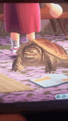 acnh snapping turtle animal crossing new horizons slow