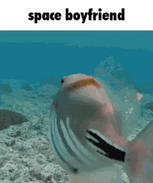 Space Boyfriend Omori GIF - Space Boyfriend Omori Space Bf GIFs