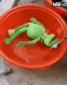 Spin Kermit The Frog GIF - Spin Kermit The Frog Funny GIFs