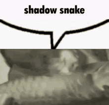 Snake Shadow GIF - Snake Shadow Obama GIFs
