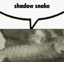 a picture of a snake with the words `` shadow snake '' written on it .