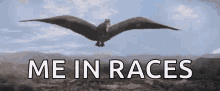 Rodan Me GIF - Rodan Me Races GIFs