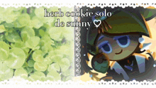 a picture of herb cookie solo de sunny with green leaves in the background