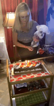 Birthday Poodle Poodle GIF - Birthday Poodle Poodle Birthday GIFs