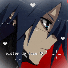 a pixel art drawing of a girl with the name elster de lein on the bottom
