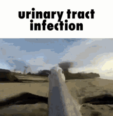 Urine Urinary Tract GIF