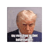Donald Trump Mugshot Sticker - Donald Trump Mugshot My Reaction To That Information Stickers