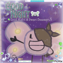a picture of a cartoon character with the words good night good night & sweet dreams