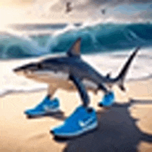 a shark is standing on a beach wearing blue shoes .