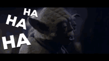 Yoda Haha GIF - Yoda Haha Laugh GIFs