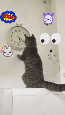 a cat is standing in front of a clock with a boom sticker
