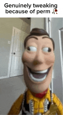 a woody doll is smiling and genuinely tweaking because of perm