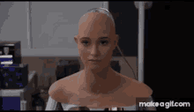 Silicon Valley Fiona GIF - Silicon Valley Fiona Robot Face GIFs