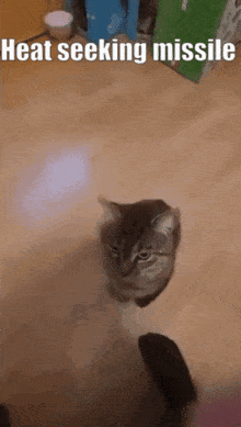 Cat Missile GIF - Cat Missile GIFs