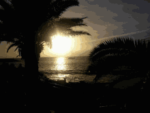 Paradise Beach GIF - Paradise Beach Sunrise GIFs