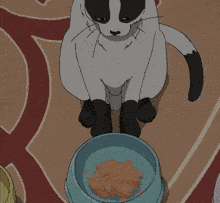 Sonny Boy Cat GIF - Sonny Boy Cat Feed GIFs