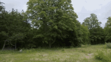 Stittsville Fresh Air GIF - Stittsville Fresh Air Outdoors GIFs