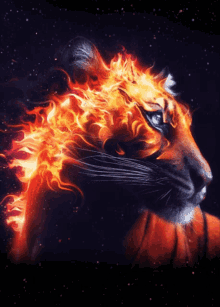 Fiery Tiger GIF - Fiery Tiger Fire GIFs